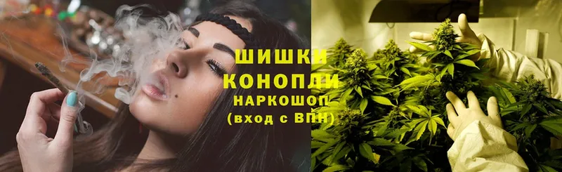 блэк спрут зеркало  Тихорецк  МАРИХУАНА THC 21%  купить наркотик 